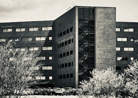 pandherentals2.jpg